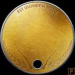 battlefield-1-model-1900-dog-tag