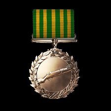 battlefield-1-scout-order-of-valor-medal