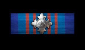battlefield-1-avian-ribbon