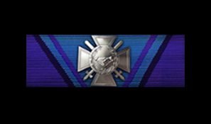 battlefield-1-crimson-heart-ribbon
