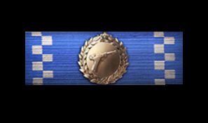 battlefield-1-lightning-cross-ribbon