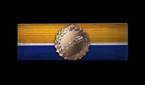 battlefield-1-support-ribbon-of-valor