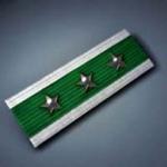 battlefield-2-distinguished-service-ribbon