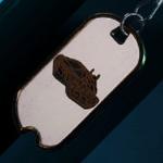 battlefield-2042-cgf42-weapon-charm