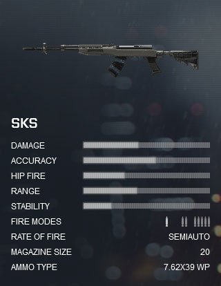 battlefield-4-sks