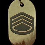 battlefield-v-rank-300-dog-tag