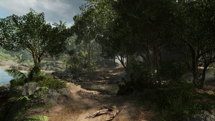 battlefield-v-solomon-islands-6