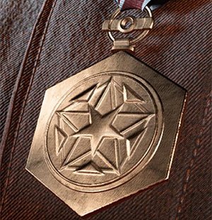 battlefield-v-conspicuous-valor-merit-medal