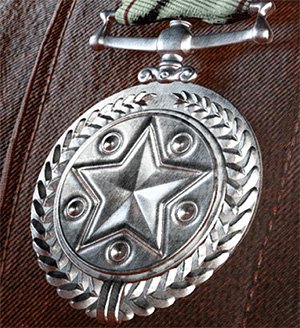 battlefield-v-distinguished-long-service-award-medal