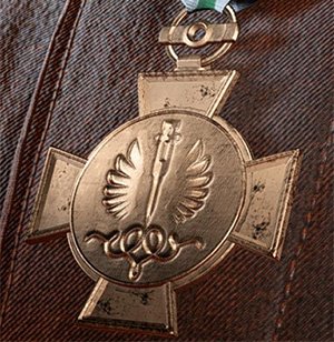 battlefield-v-operational-triage-merit-medal